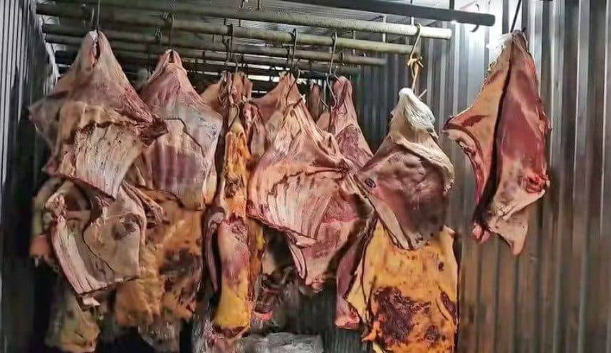 Quatro são presos em empresa que maquiou e revendeu carne podre que ficou submersa na enchente de Porto Alegre