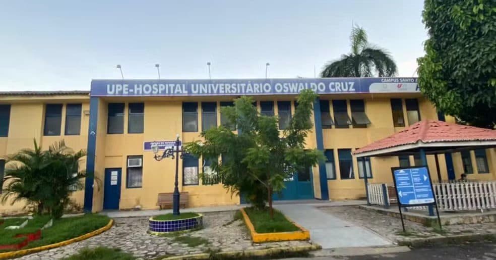 Mulher contrai raiva humana após ser mordida por sagui em Pernambuco; caso é o primeiro confirmado no estado em oito anos