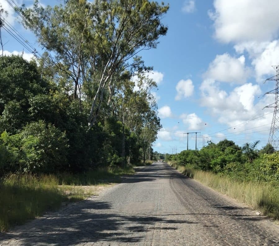Homem é encontrado morto com mãos amarradas em terreno próximo ao aterro sanitário, em João Pessoa