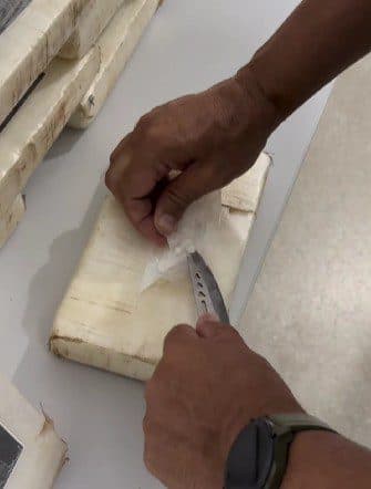 Polícia apreende carga de drogas avaliada em R$ 2.000.000 em Monteiro