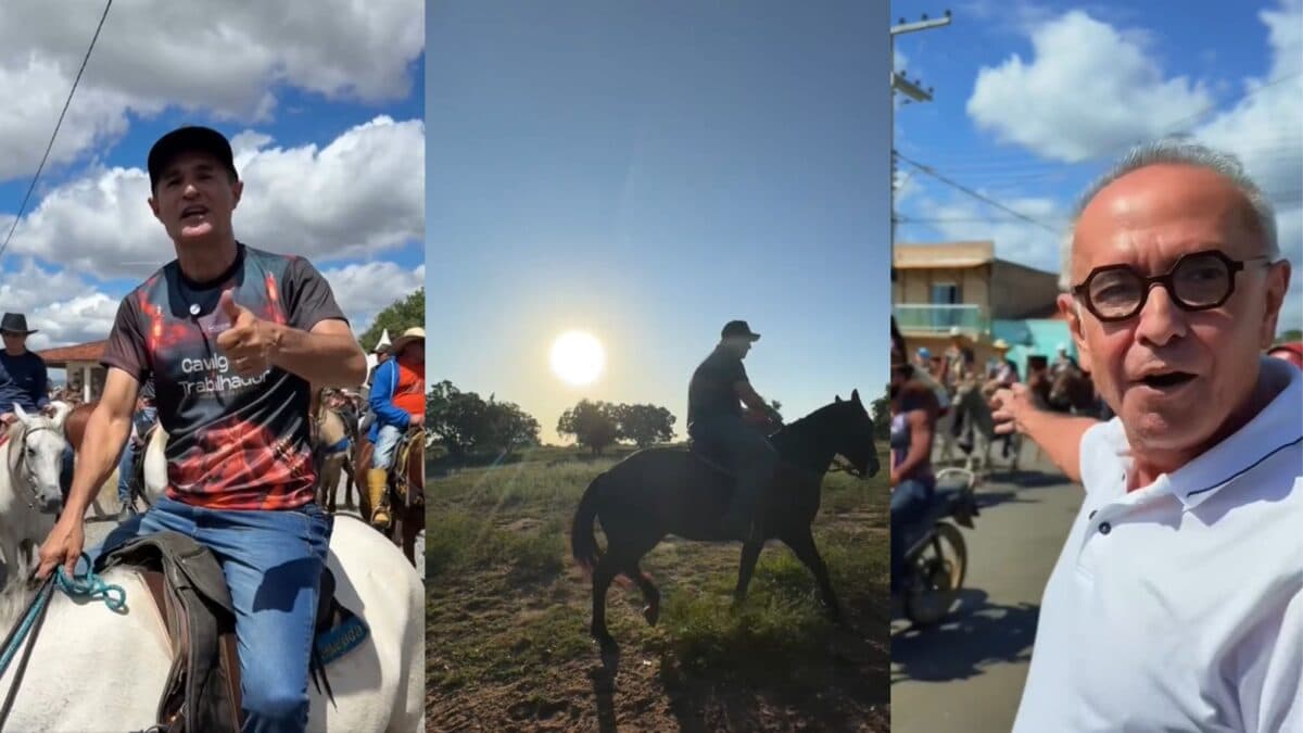 Virou trend: Políticos da Paraíba compartilham vídeos sobre cavalgada e cavalo vira bola da vez no marketing