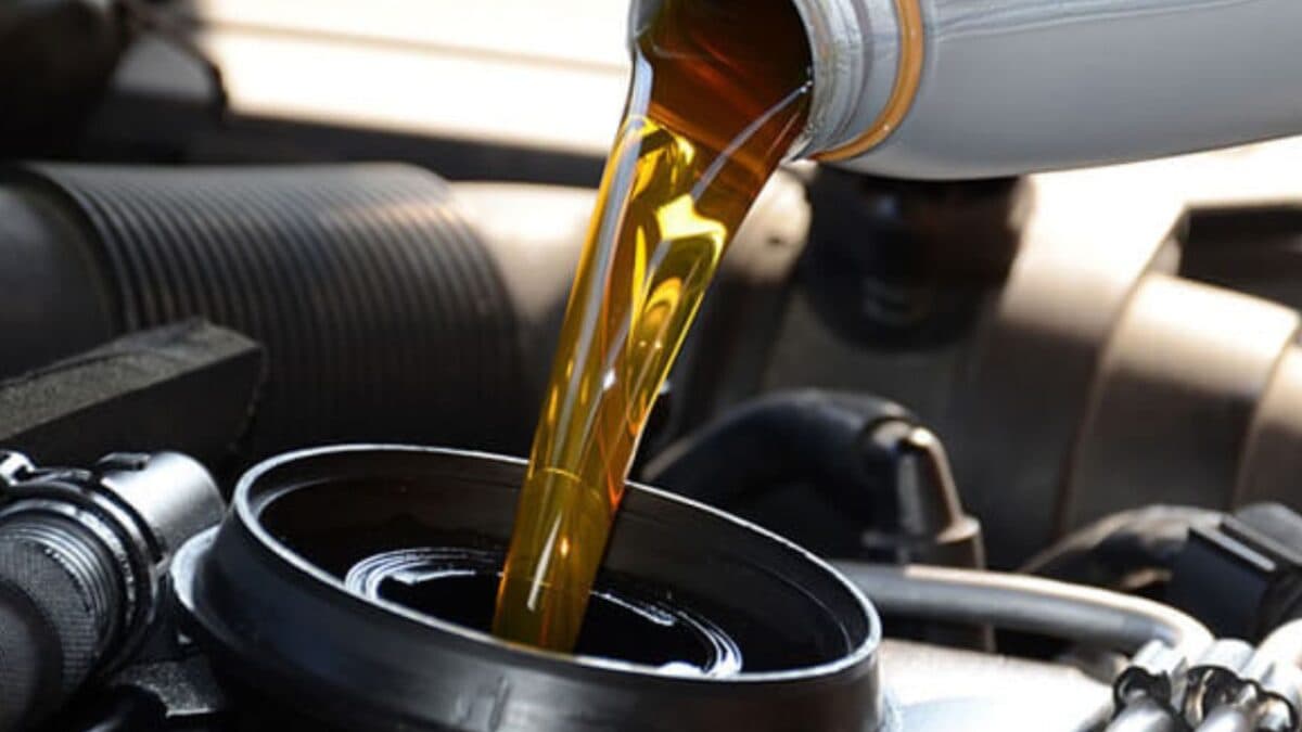 TCE dá 20 dias para prefeito de Catolé do Rocha explicar supostas irregularidades em compra de mais R$ 5 milhões em combustíveis e óleos lubrificantes