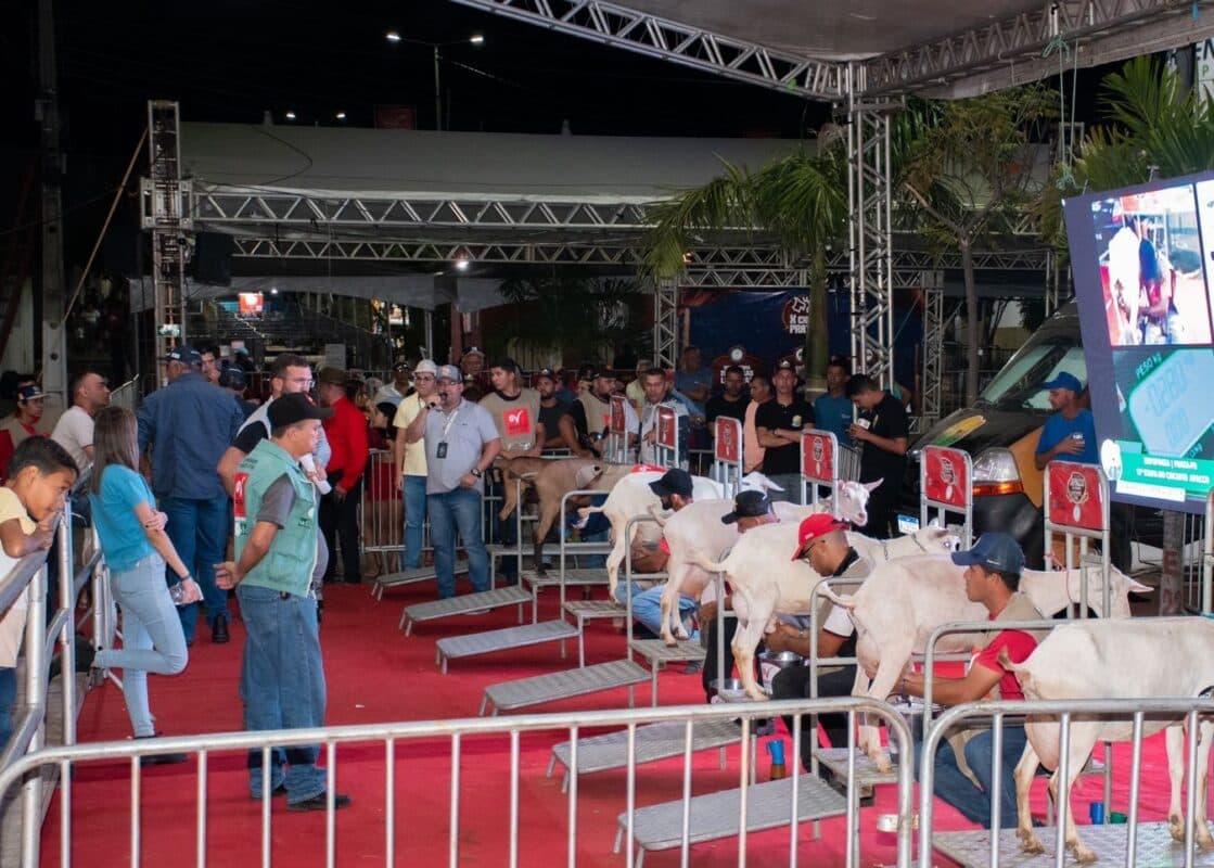 Prata, no Cariri da Paraíba, sedia competição nacional de cabra leiteira em agosto