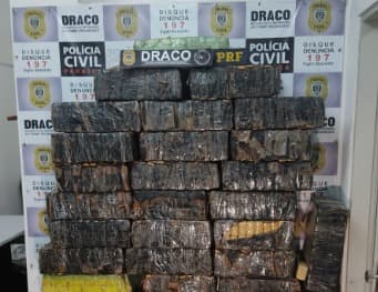 Polícia apreende uma tonelada de maconha na Paraíba; droga abasteceria festas de São João