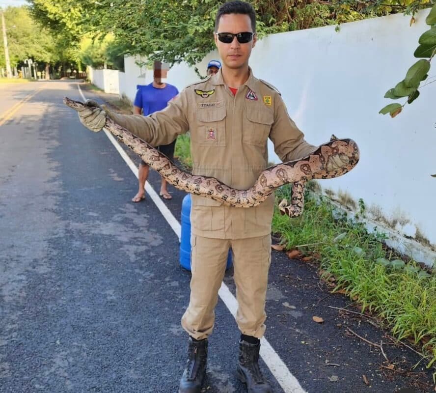 Serpente é capturada pelo Corpo de Bombeiros em Sousa