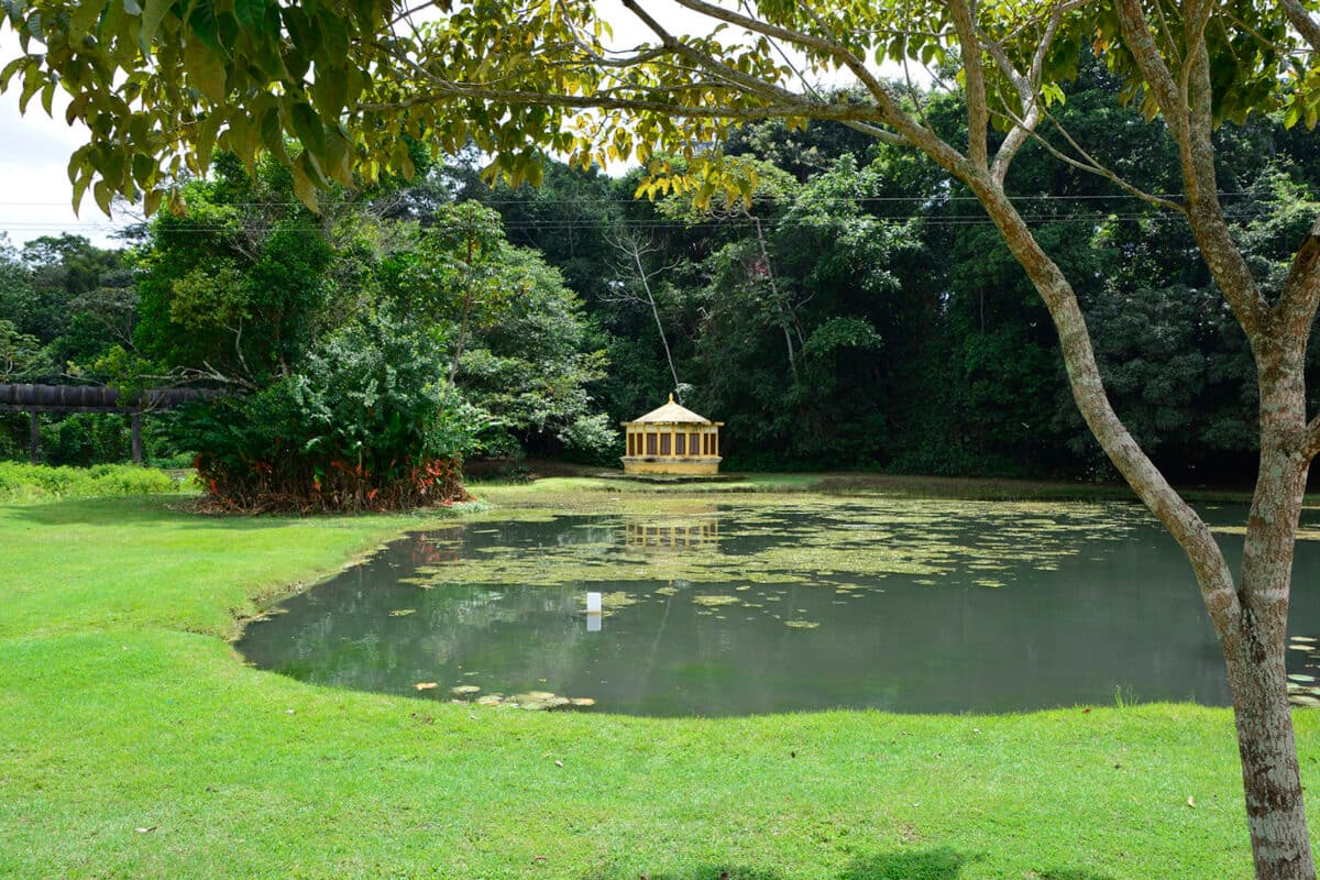 Jardim Botânico promove 4ª edição do Jardim Azul para crianças e adolescentes com autismo neste sábado
