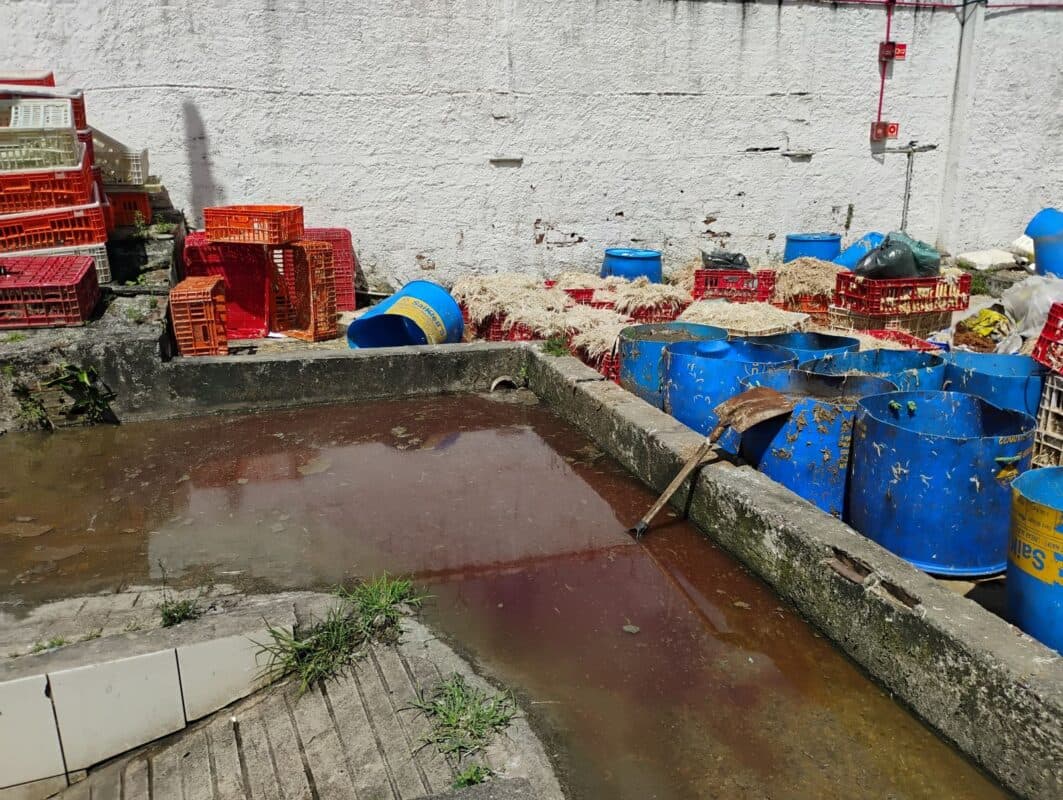 Sudema embarga abatedouro por despejo irregular de esgoto no Rio do Cabelo