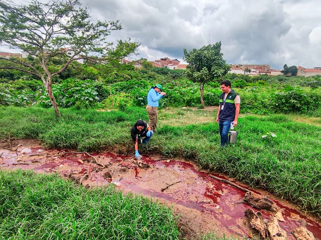 Sudema interdita e multa matadouros na Paraíba por despejo de sangue, carcaças e chifres em solo e outras irregularidades