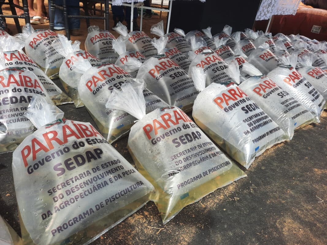 Governo do estado distribui 450 mil peixes para repovoamento de açudes em seis cidades da Paraíba