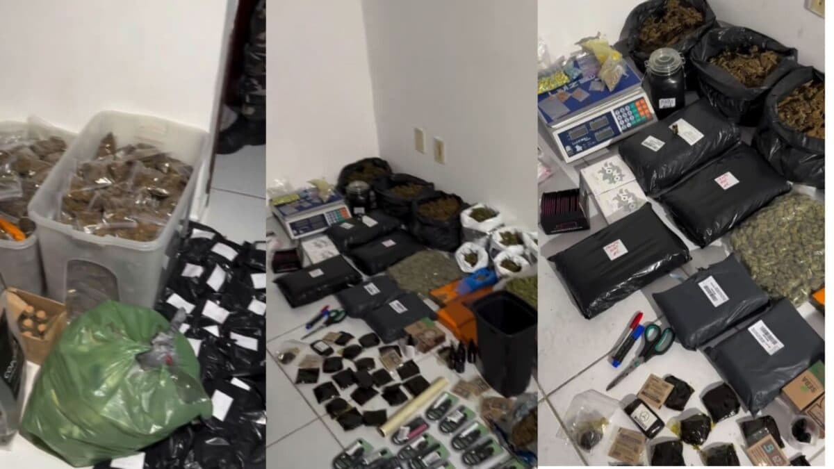 Operação da Polícia Militar apreende R$ 500 mil em drogas em João Pessoa