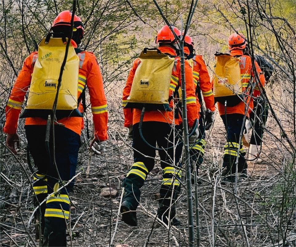 Incêndio na Serra do Cruzeiro já dura 7 dias e força-tarefa intensifica trabalho para controlar fogo