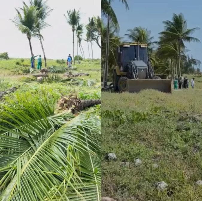 Sudema autorizou obras na orla de Camboinha, mas proibiu derrubada de coqueiros ou qualquer árvore