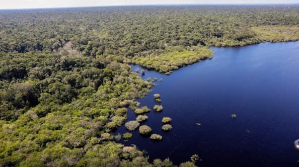 Amazônia e Cerrado registram queda de 11% no desmatamento