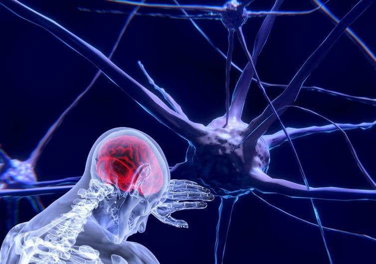 UNESCO aprova primeira recomendação global sobre uso ético da neurotecnologia