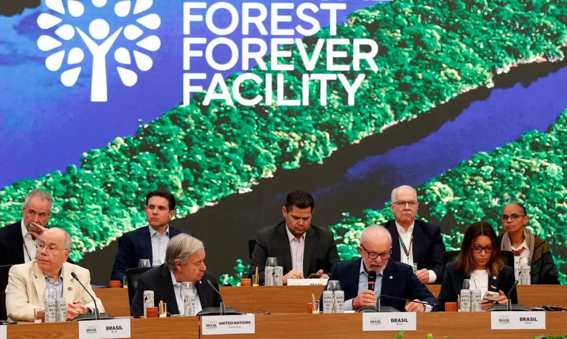 Fundo Florestas Tropicais, criado pelo Brasil, acumula US$ 5,5 bilhões com investimentos de outros países