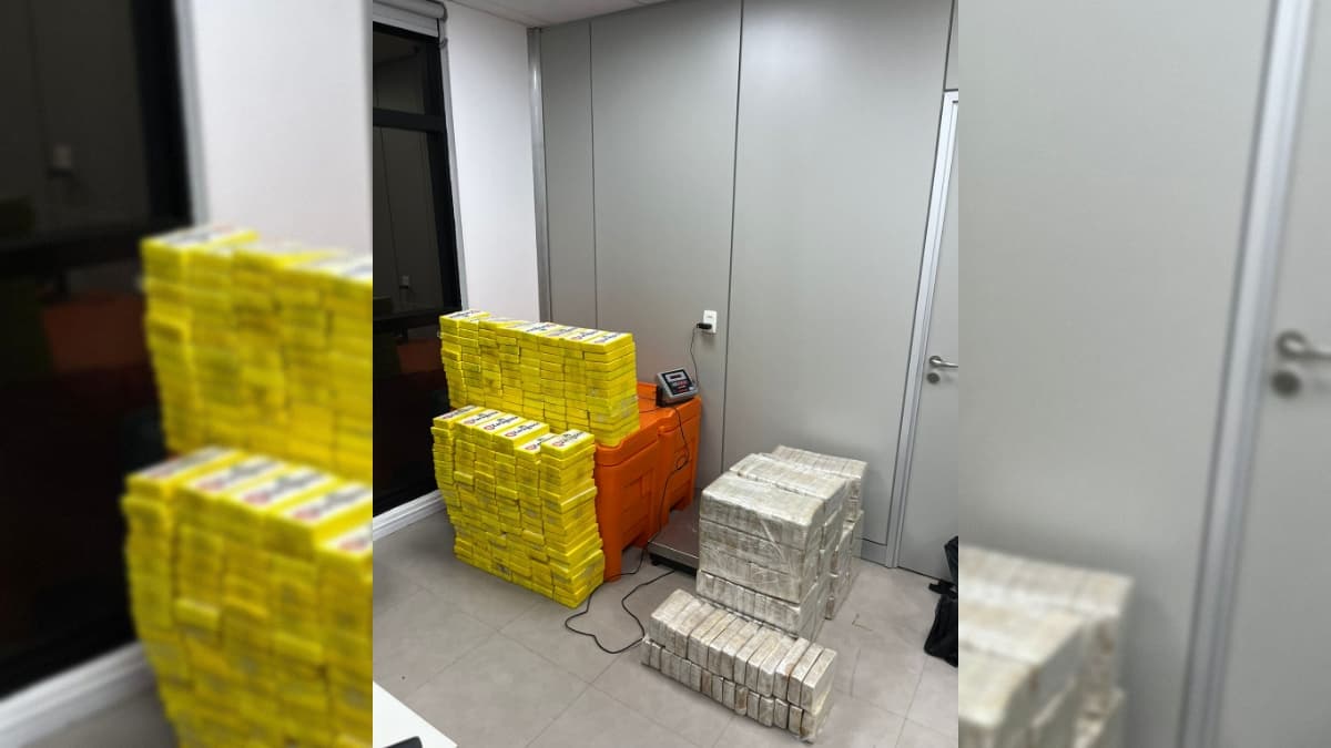 Operação prende suspeita de tráfico e apreende mais de 450 kg de drogas em residência na Zona Sul de João Pessoa