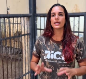 Bióloga responsável diz Leona se recupera bem, mas que não será liberada para visitação por enquanto