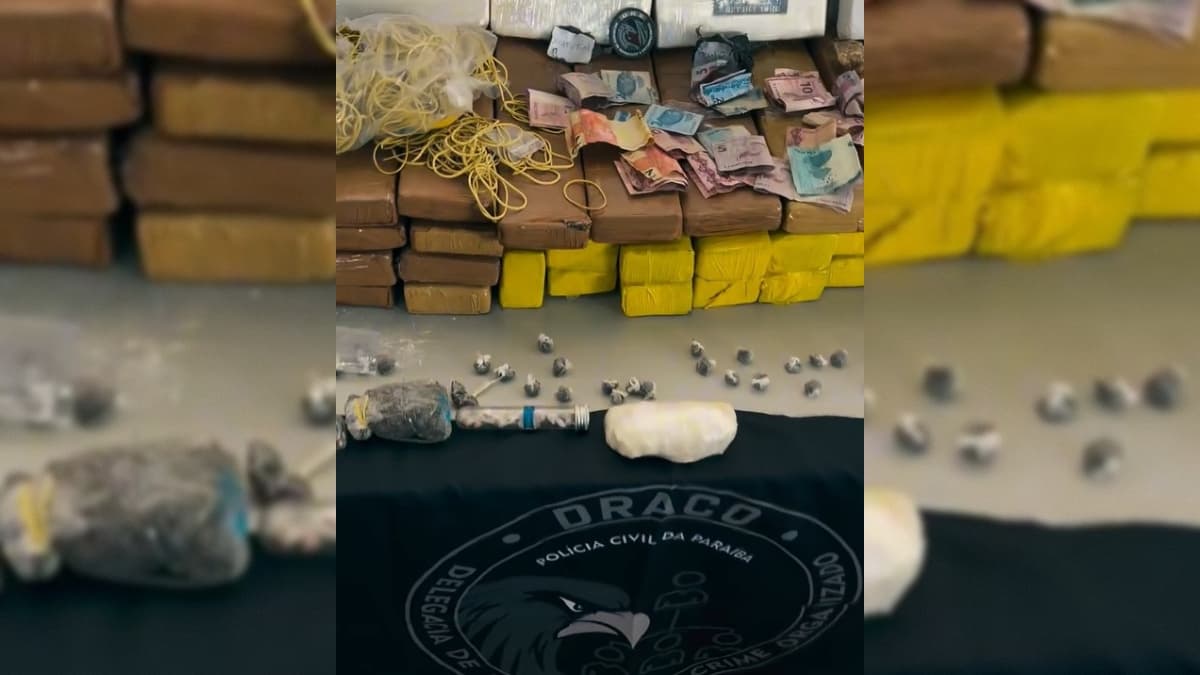 Operação da Polícia Civil apreende aproximadamente 60 kg drogas e prende 11 suspeitos em João Pessoa e Patos