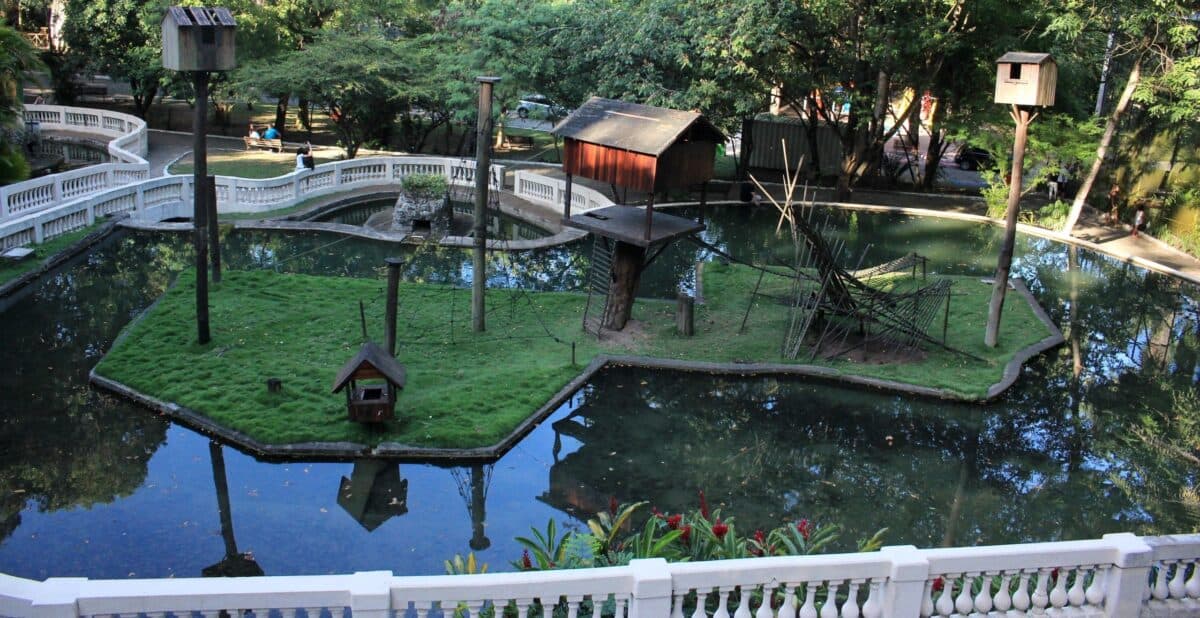 Secretário diz que Bica será reaberta em dez dias: "Leona vai estar lá"