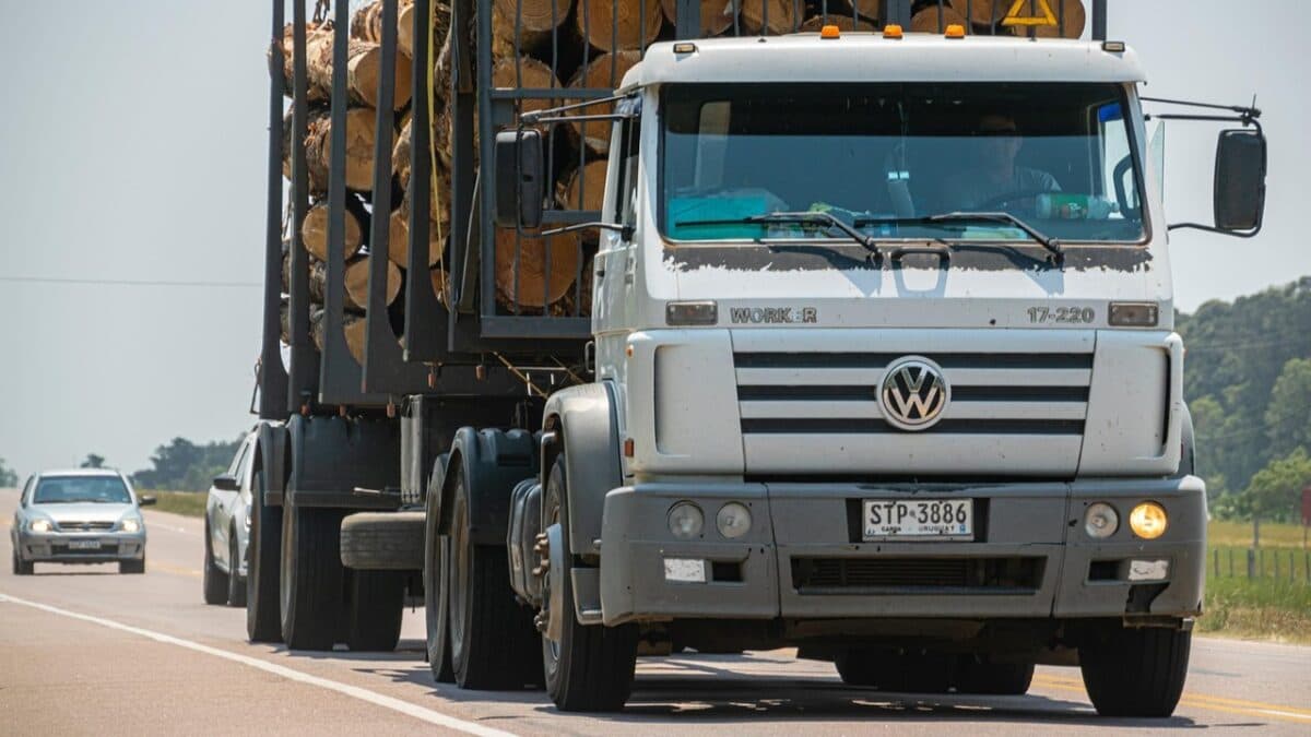 Caminhoneiros não aderem à greve e rodovias brasileiras seguem sem bloqueios