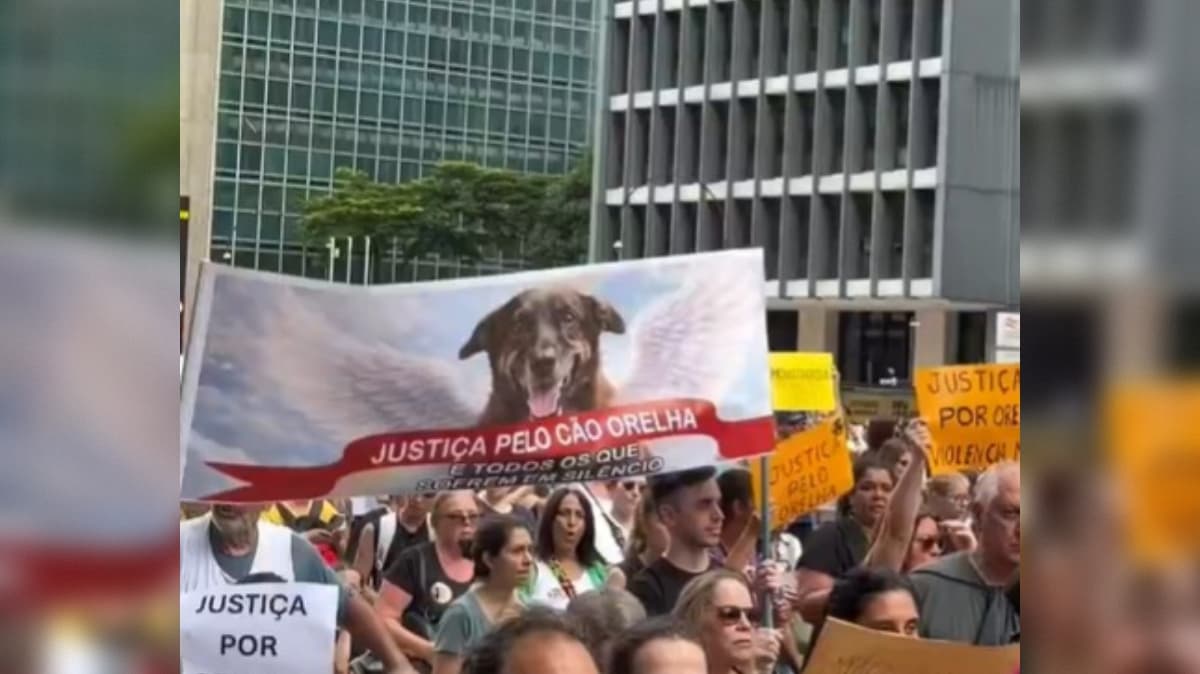 Manifestações por justiça pelo cão Orelha são realizadas em várias cidades do país