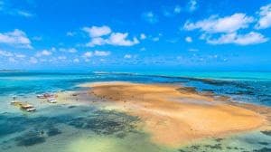 Paraíba terá restauração de corais e conservação marinha com investimentos de R$ 5,5 milhões