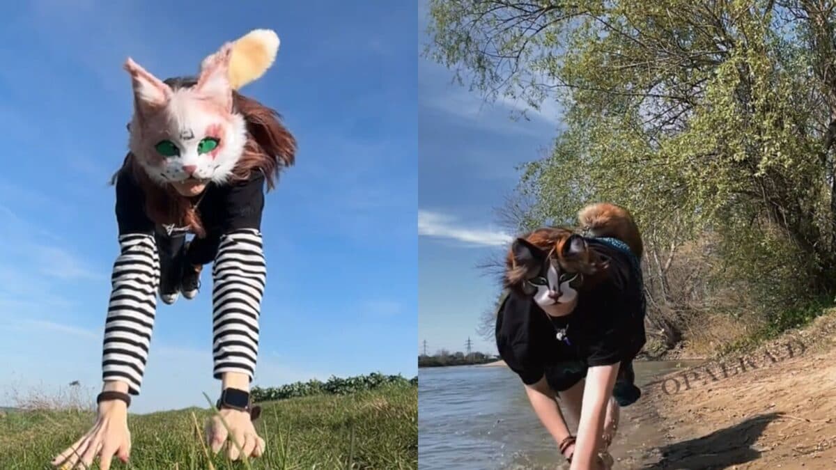 'Furry' e 'therian': entenda o que significa e qual a diferença entre os dois termos