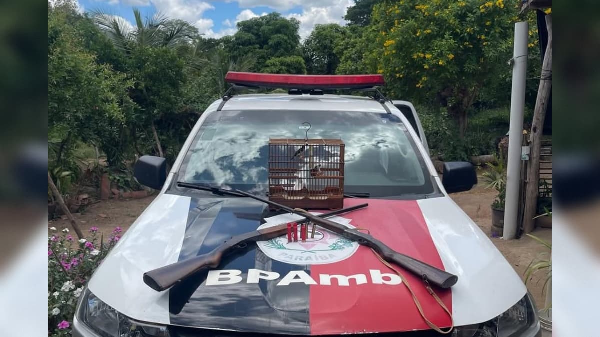 Homem é preso por cativeiro ilegal no Agreste da Paraíba; ave e armas são apreendidas