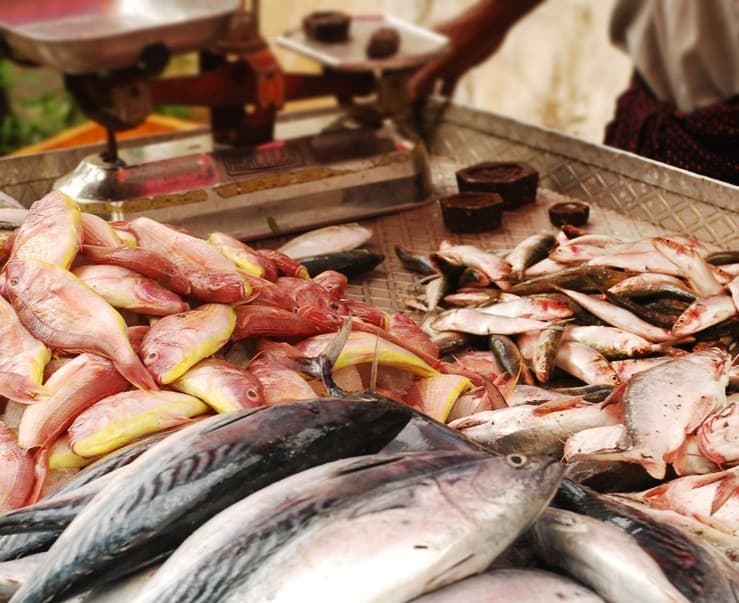 Pesquisa do Procon-PB revela variações de até 125% no preço do peixe em João Pessoa