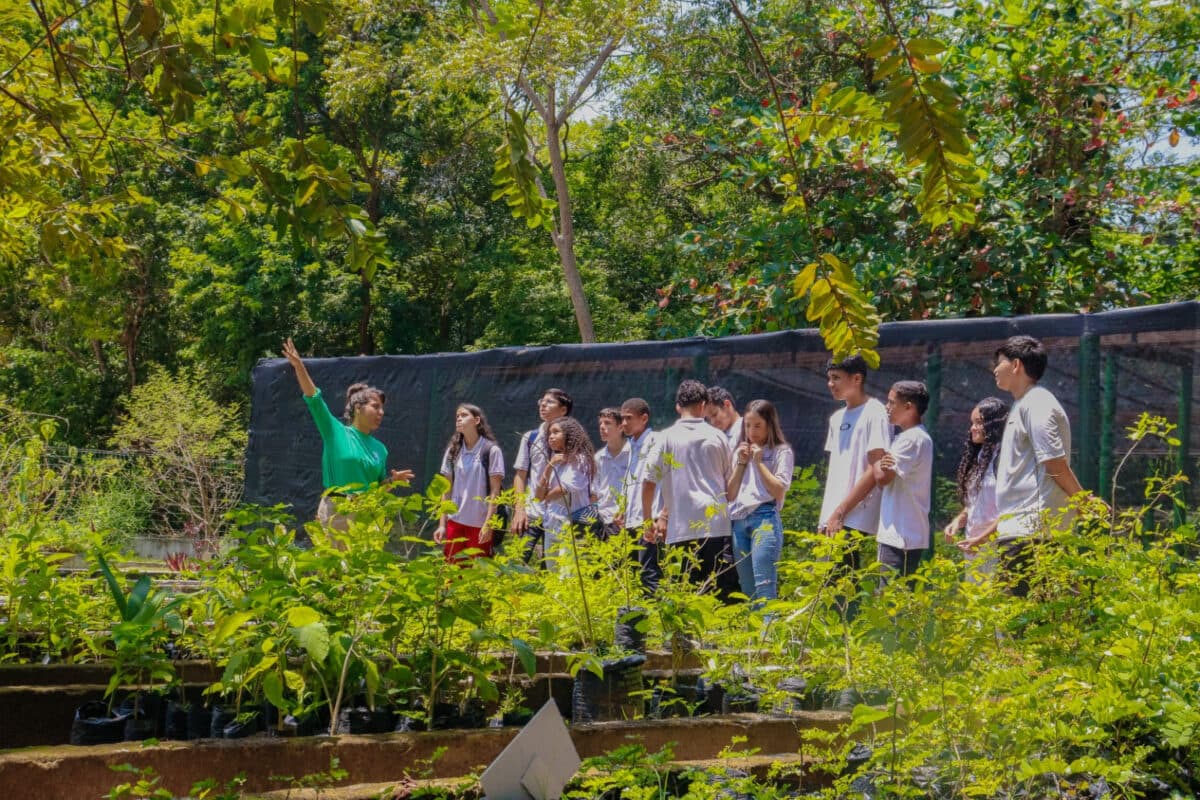 Jardim Botânico Benjamin Maranhão realiza distribuição de mudas em alusão ao Dia Nacional da Botânica