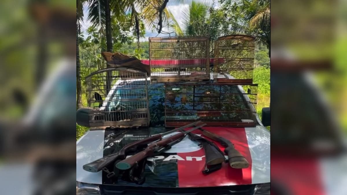 Três pessoas são presas, aves silvestres são resgatadas e armas apreendidas em Mamanguape