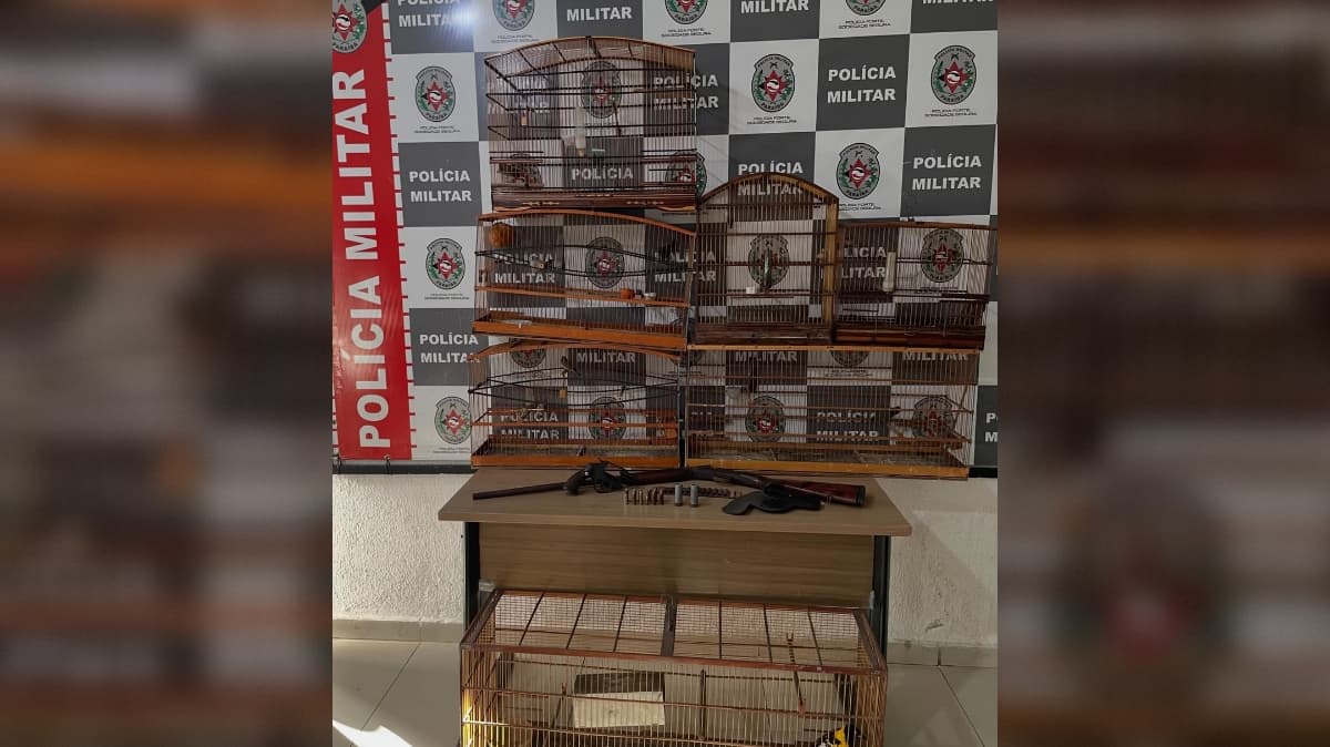 Homem é preso por posse ilegal de arma e cativeiro ilegal de sete aves silvestres em João Pessoa