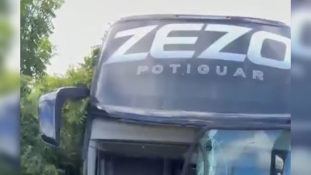 Ônibus colide com cavalo na BR-230, em Pombal