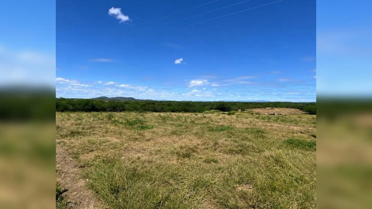 Polícia Ambiental identifica área de desmatamento no Sertão da Paraíba e proprietário é multado em mais de R$ 33 mil