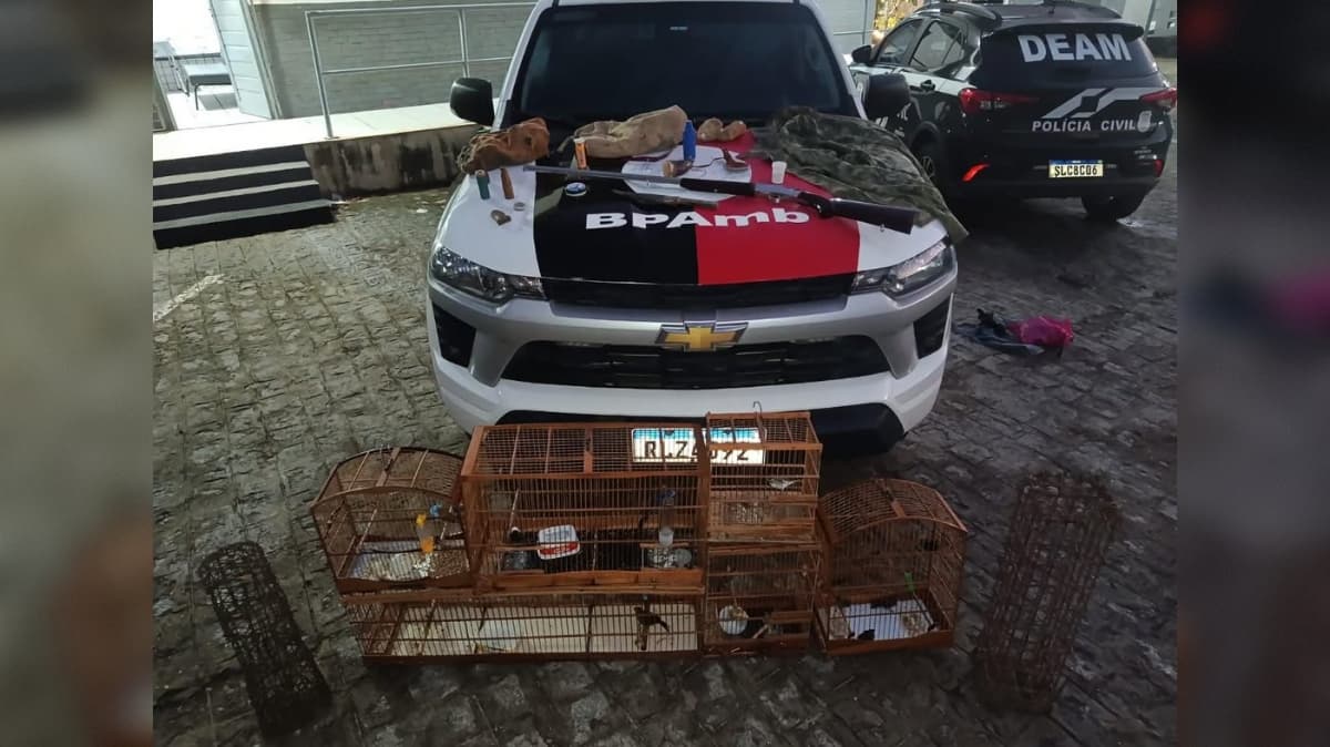 Operação da Polícia Militar resgata 16 aves silvestres e prende duas pessoas em Guarabira