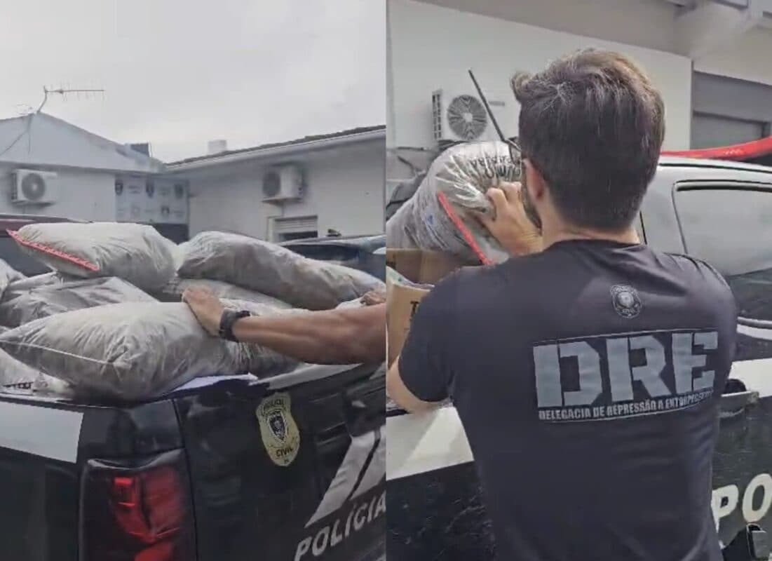 Polícia incinera duas toneladas de drogas apreendidas em João Pessoa e Campina Grande