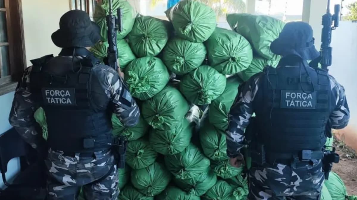 Homem é preso e aproximadamente 430 kg de maconha são apreendidos em Sumé