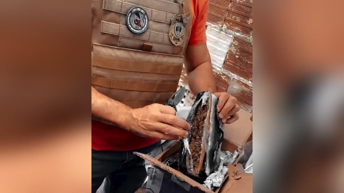 Dois suspeitos são presos por tráfico de drogas e associação para o tráfico em Bayeux