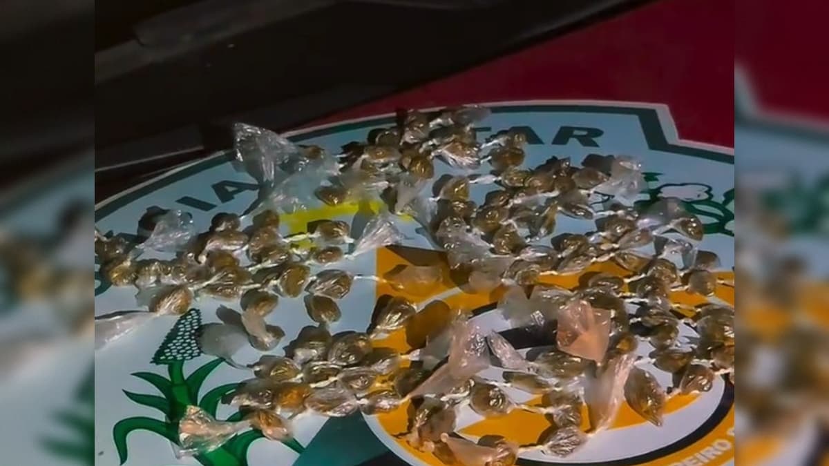 Três suspeitos são presos e mais de 100 porções de maconha foram apreendidas em Alagoinha