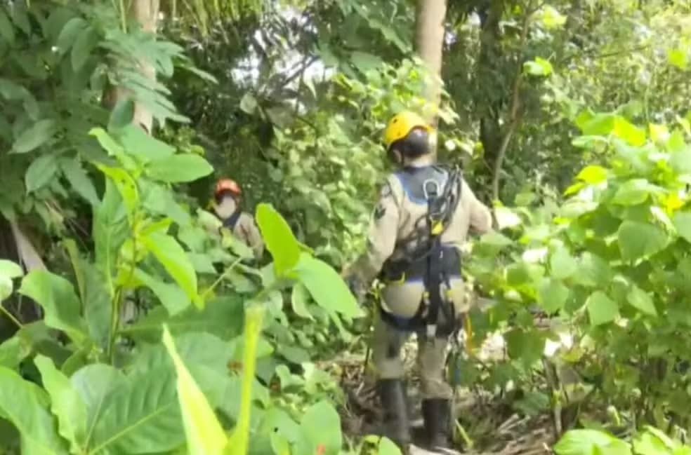 Corpo de jovem é encontrado em região de mata em João Pessoa; polícia investiga