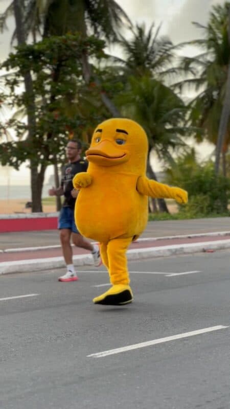 Pato amarelo misterioso é visto pelas ruas de João Pessoa e chama atenção de populares