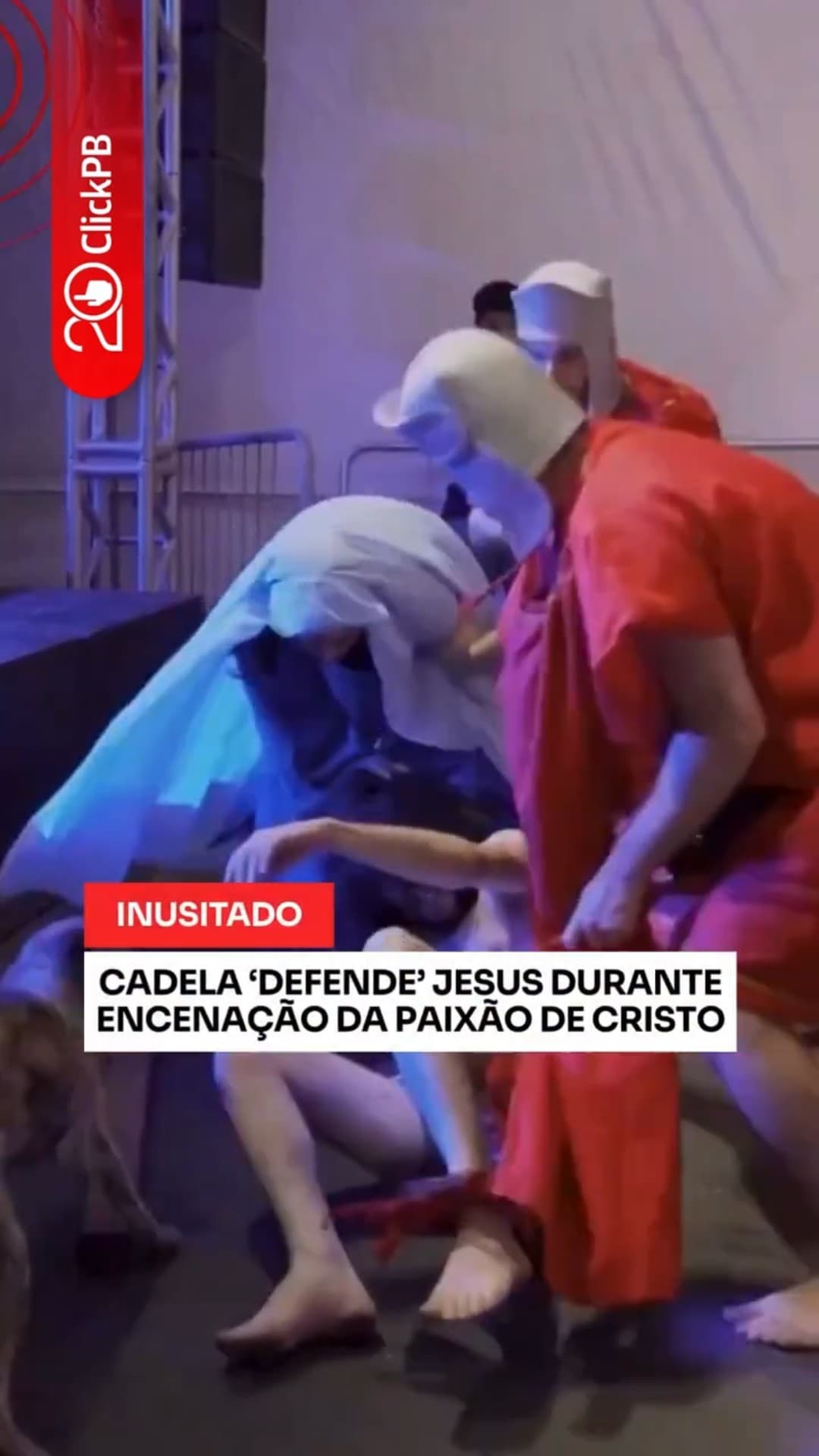 Cadela ‘defende’ Jesus durante encenação da Paixão de Cristo #Luna #Curiosidade #Shorts