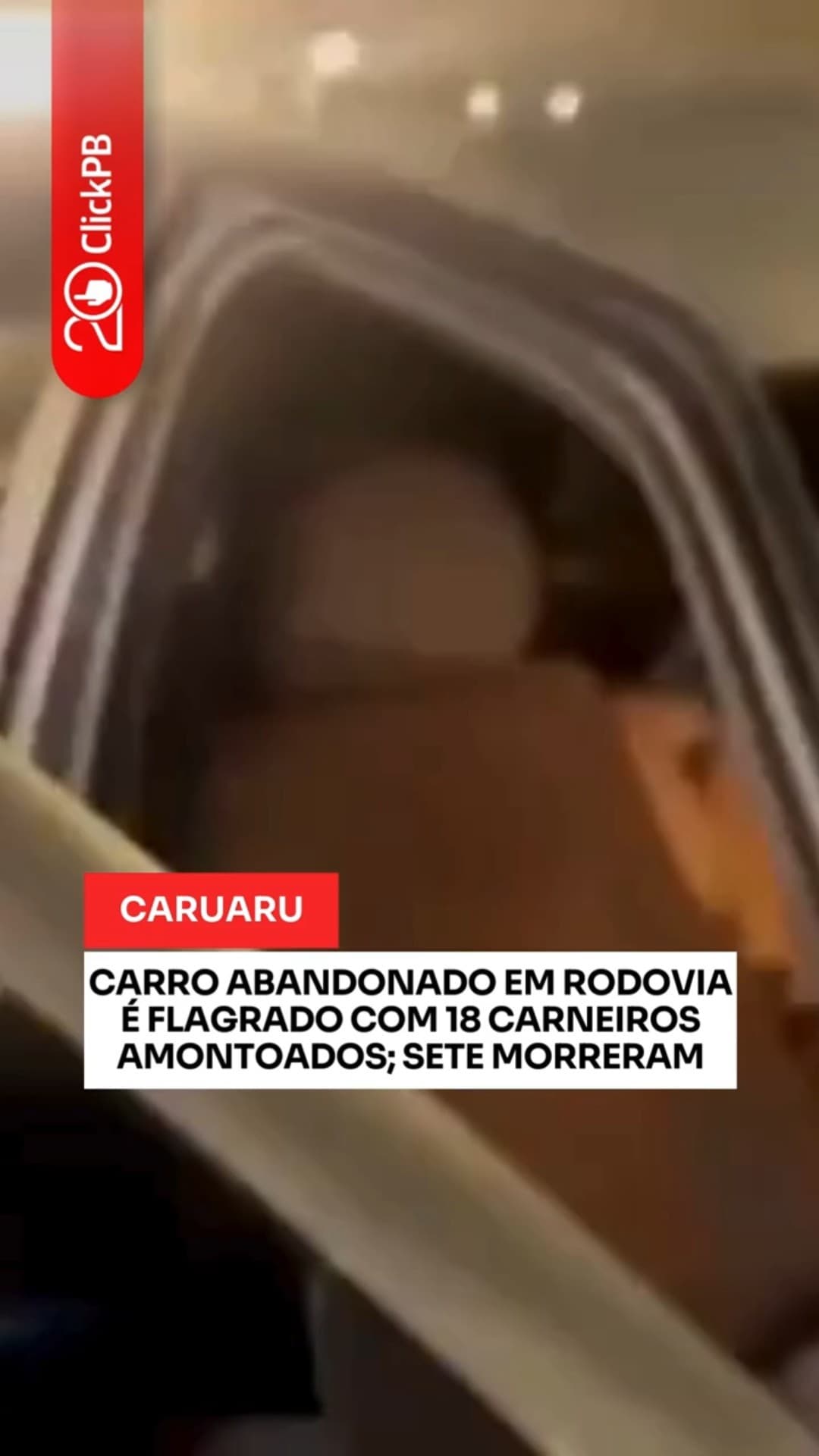 PRF encontra 18 carneiros em carro abandonado #PRF #Caruaru #shorts