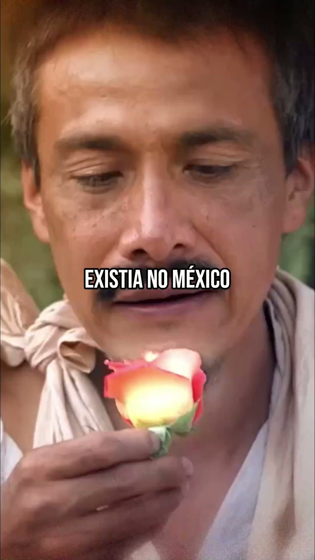 🌹 Virgem de Guadalupe: o Milagre das Rosas Revelado! 🌹 #padresandro #guadalupe #shorts