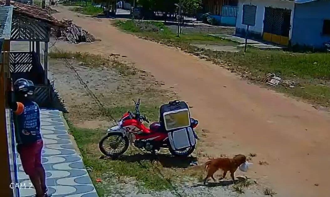 Mamonas, Gabriel Diniz, Boechat, Teori Zavascki e Eduardo Campos: relembre acidentes com aeronaves com famosos e que repercutiram no Brasil