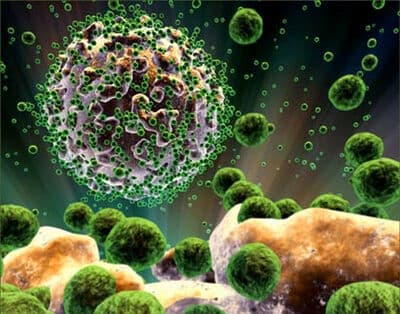 Infectologista alerta para aumento de novos casos de HIV e Aids na Paraíba: "mais de 780 infectados e mais de 100 mortes"