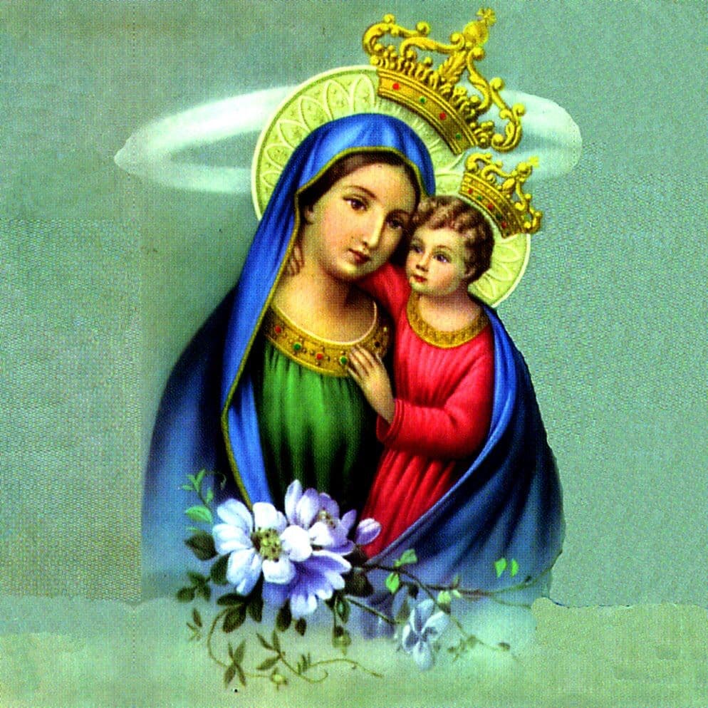 Começa Hoje a Festa de Nossa Senhora do Bom Conselho em Esperança