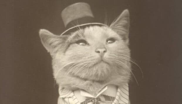 Animais aristocratas são novo meme de sucesso nas redes sociais