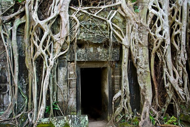 Mistério e vegetação envolvem templo de Angelina Jolie em Angkor