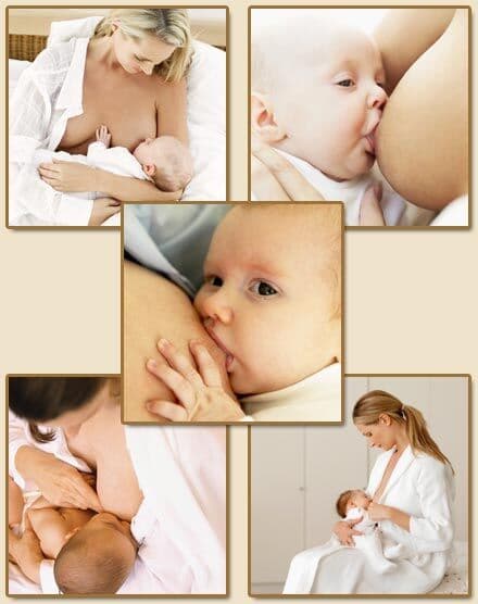 Falta de leite materno mata 830 mil bebês